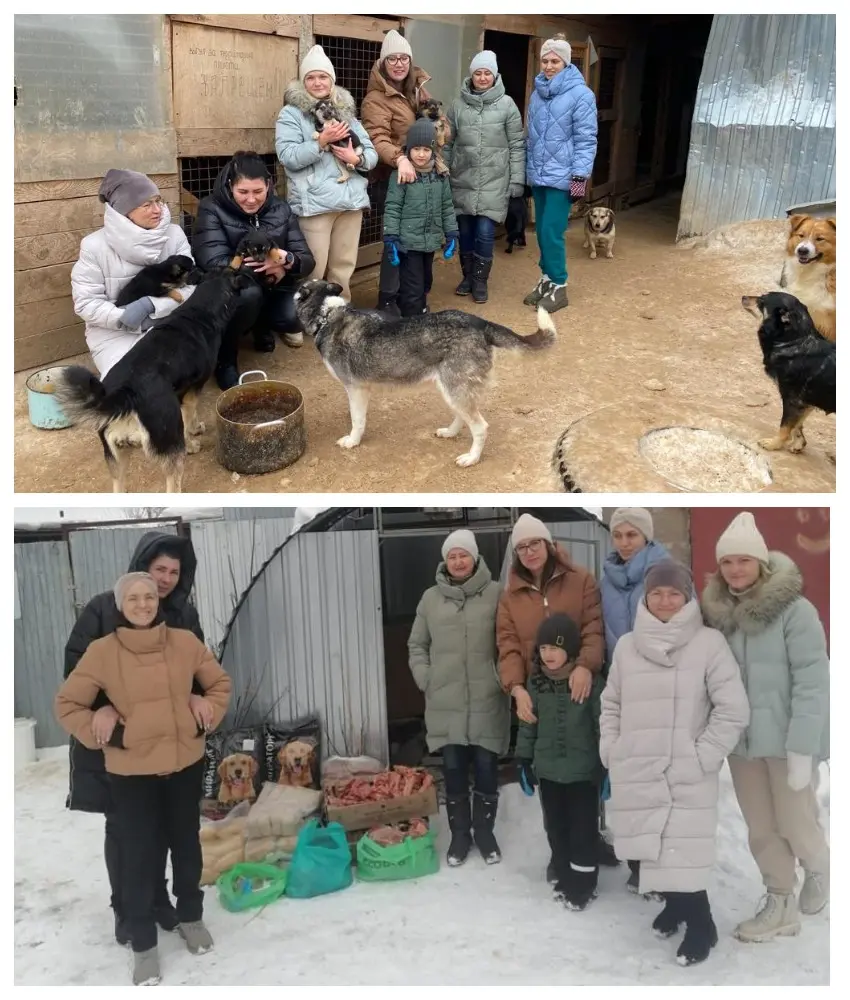 передача помощь приюту для животных.jpg передача помощь приюту для животных.jpg